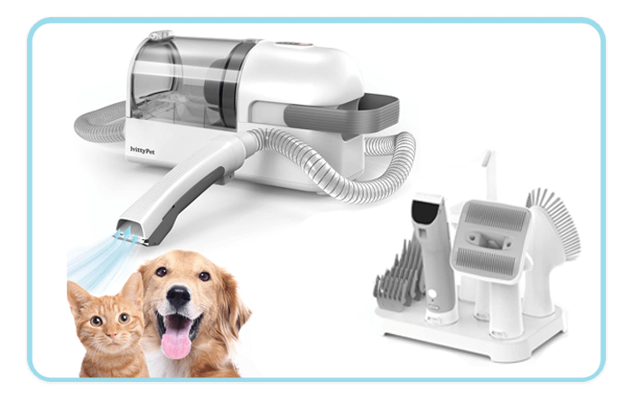 Pet Grooming Tools